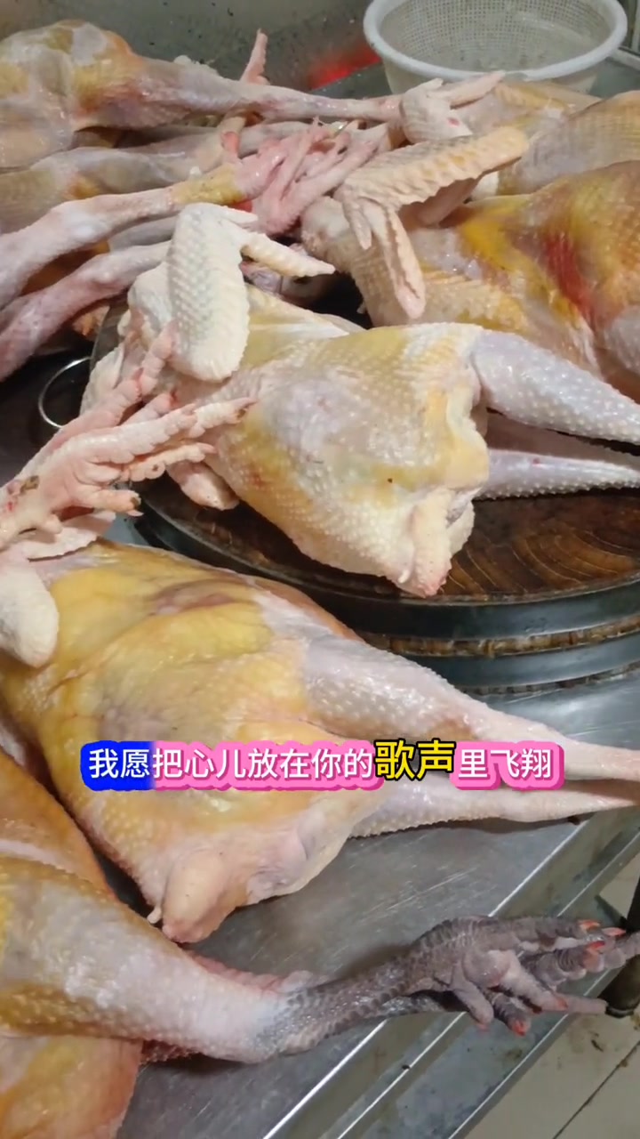 农村散养土鸡 土鸡土鸭 原生态原滋味