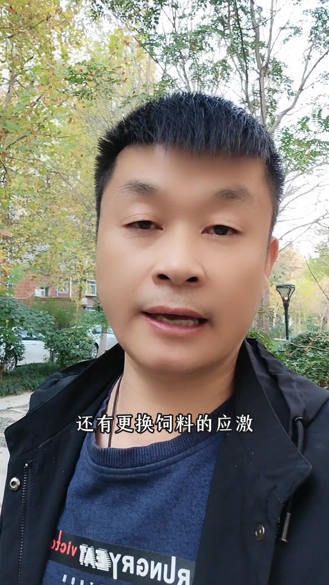 刚买回来的脱温鸡,到家没几天就病了,该怎么预防和解决?