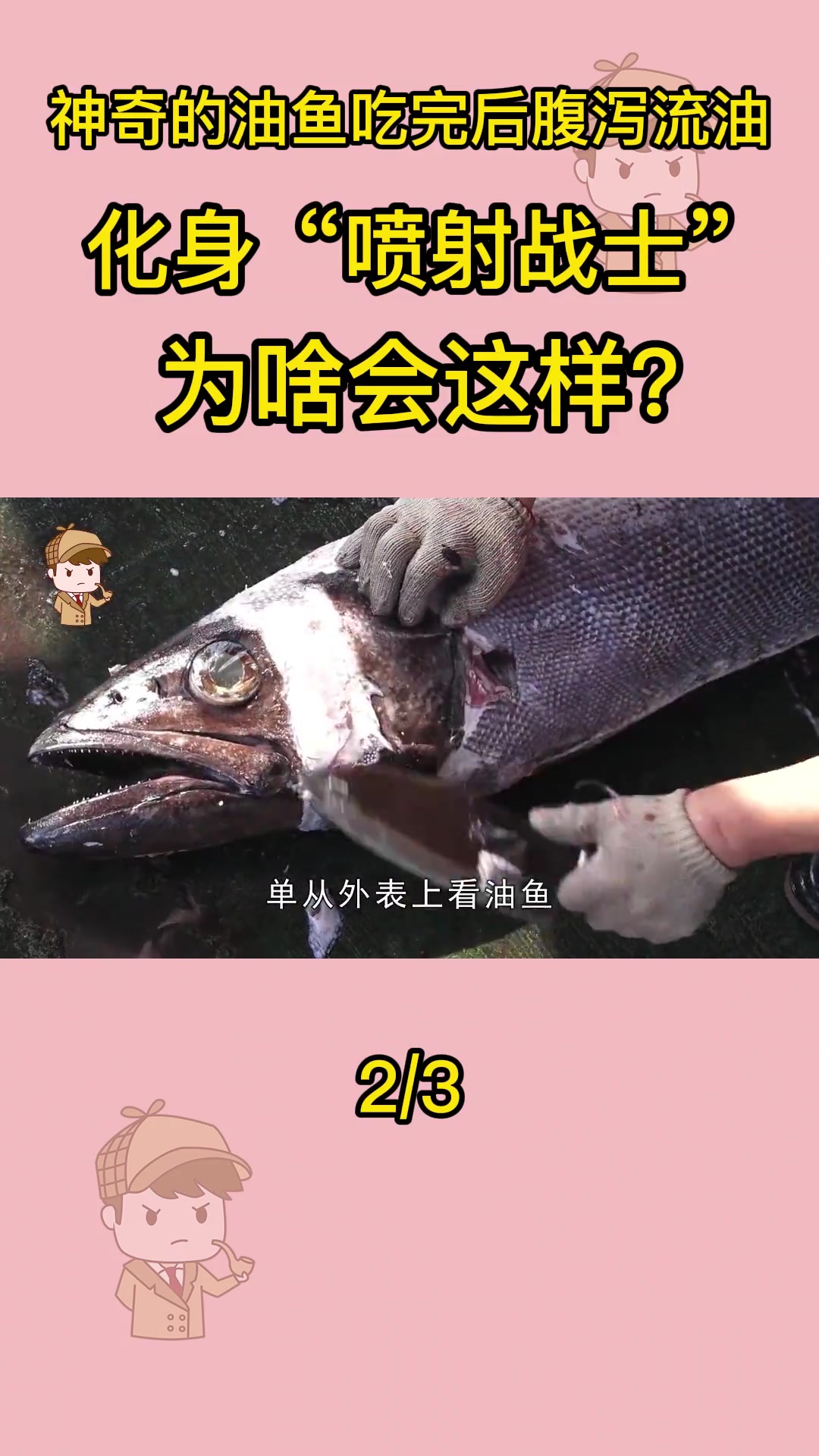 神奇的油鱼,吃完后腹泻流油化身“喷射战士”,为啥会这样?