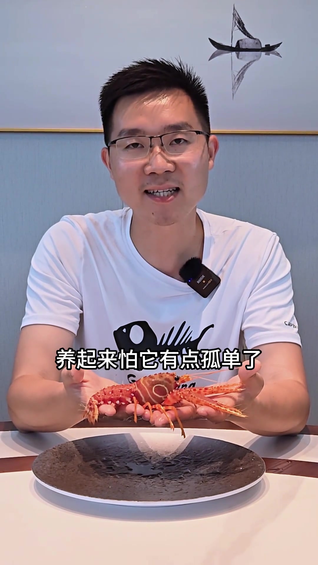 西方礁鳌虾刺身