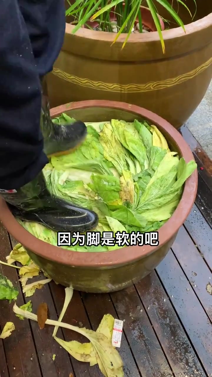 地道的杭州冬腌菜如何制作?