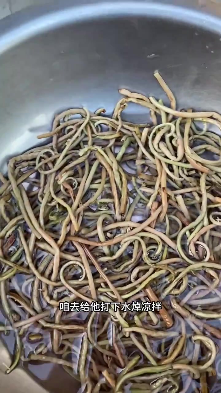 简简单单凉拌微菜?