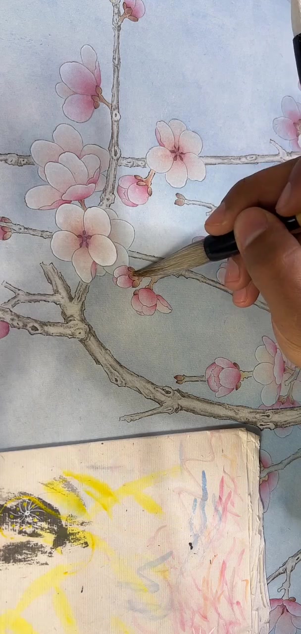 直播间揭秘:真实龙鱼与感海鱼的区别,千万别错过!