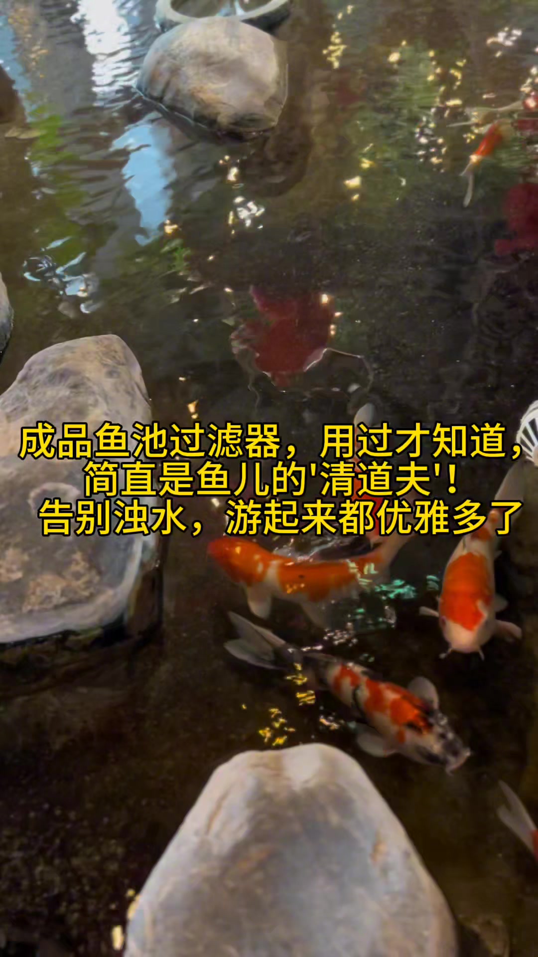 奥利仕成品鱼池过滤安装后的秘密,原来是这样!