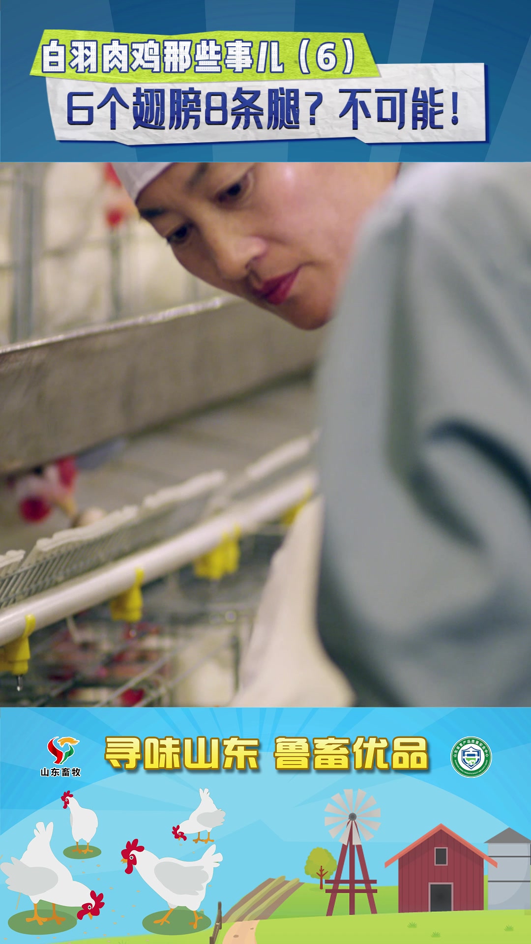 白羽肉鸡那些事儿(6)6个翅膀8条腿?不可能!