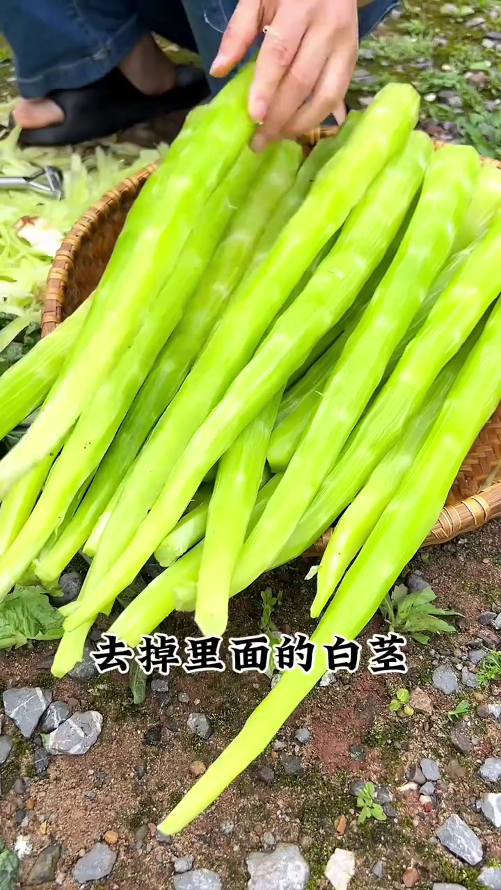 贡菜干 贡菜到底是不是莴笋做的,分享吃几年都不坏