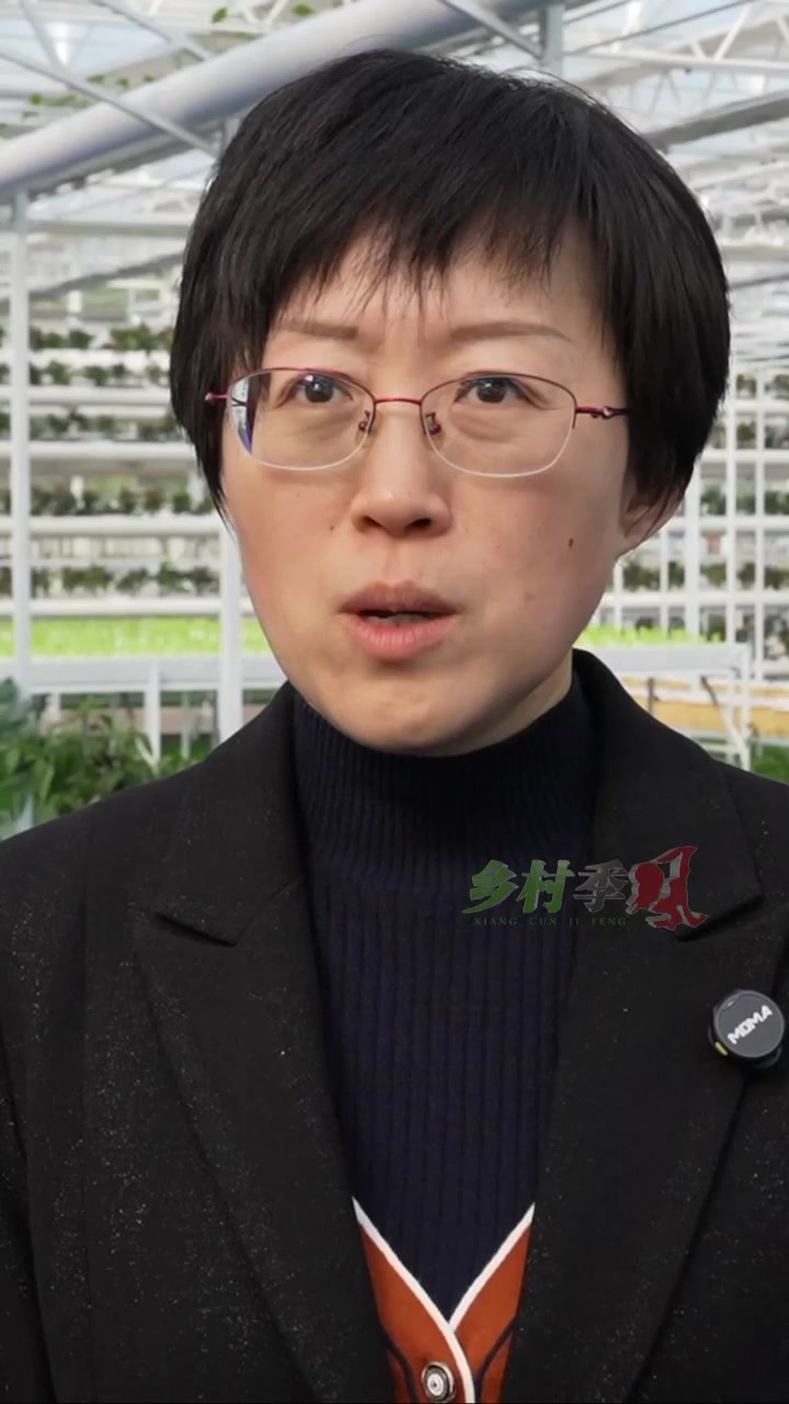 一棵种苗补贴0.2元 哪的菜农有这待遇