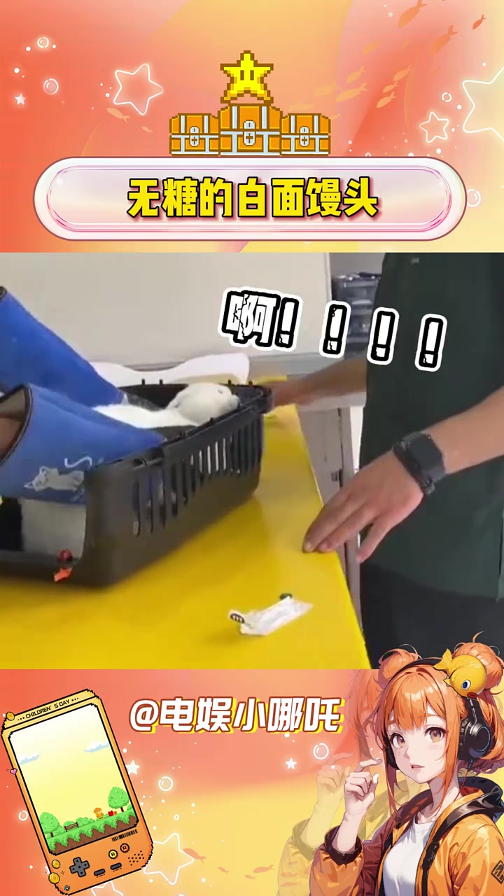 白面馒头:告诉俺妈,俺是孬种 猫咪 白面馒头