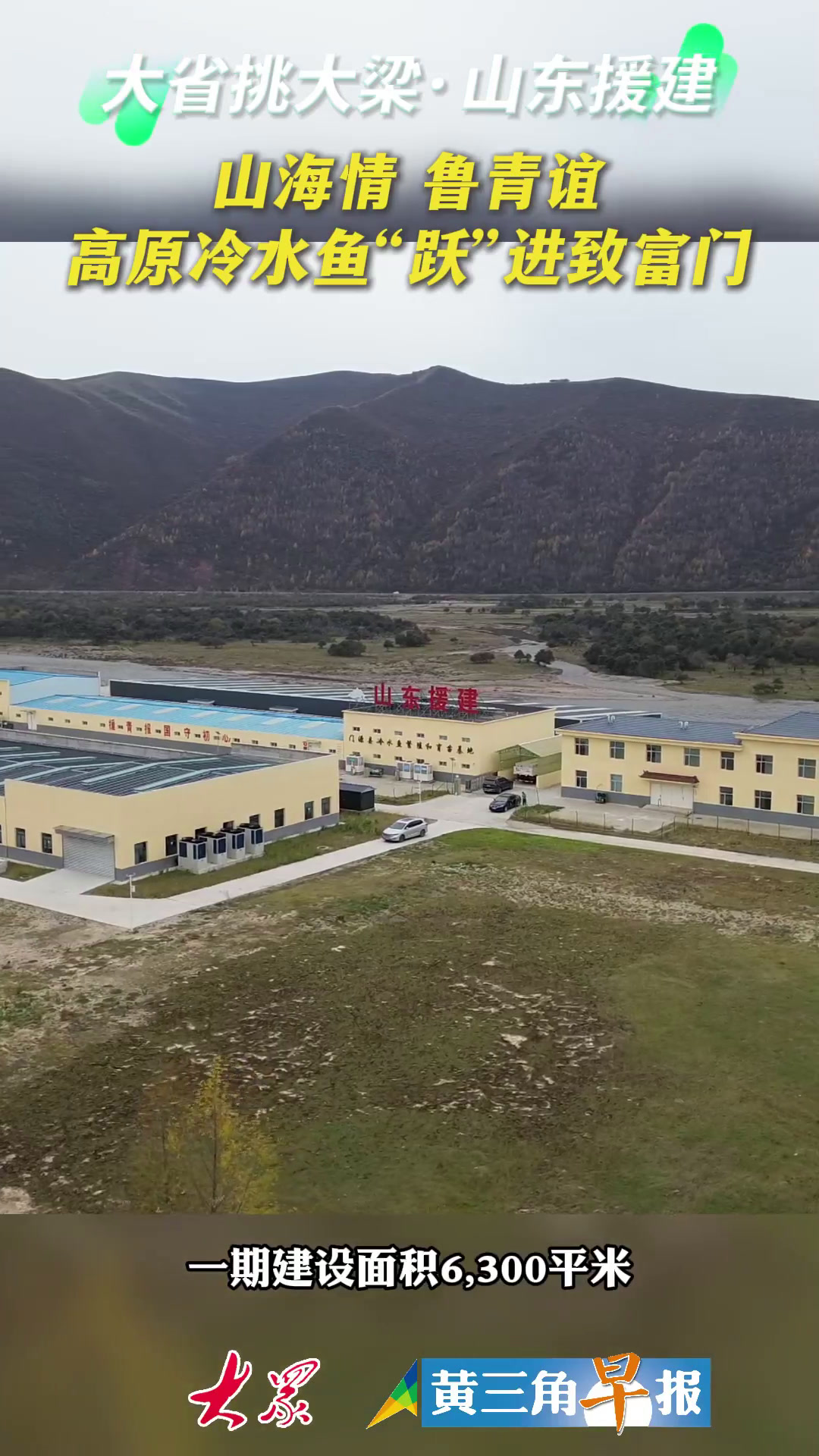 山海情 鲁青谊|高原冷水鱼“跃”进致富门