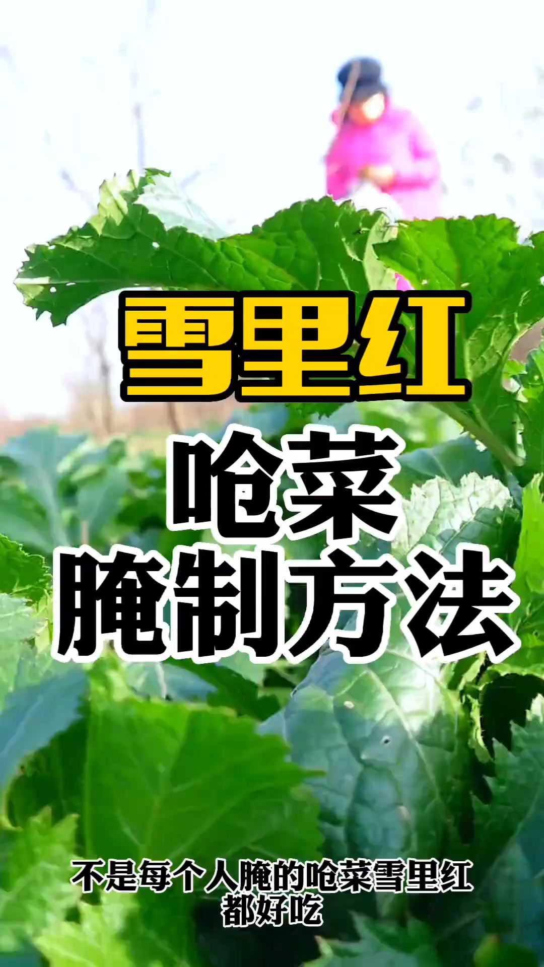 上热门 今年忙没有做呛菜,这个是去年的作品,大家不会做的看看