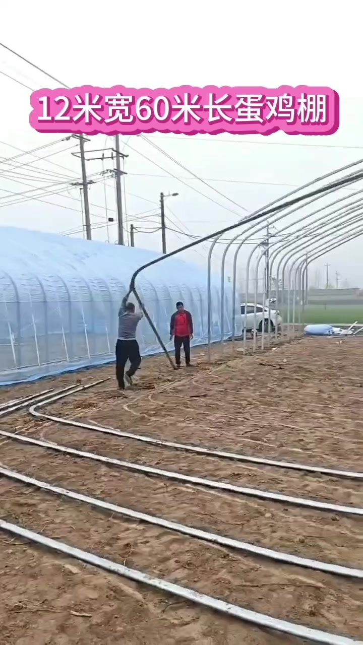 鸡棚的搭建与设计