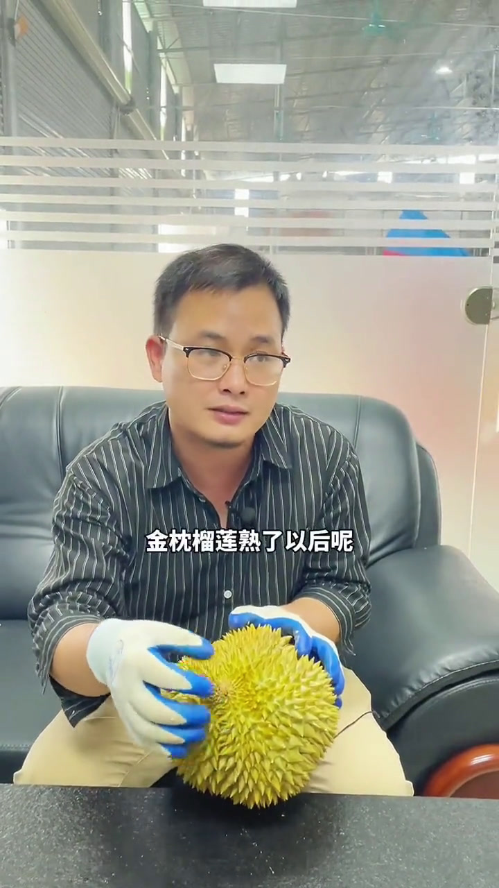 如何判断一个榴莲的成熟度