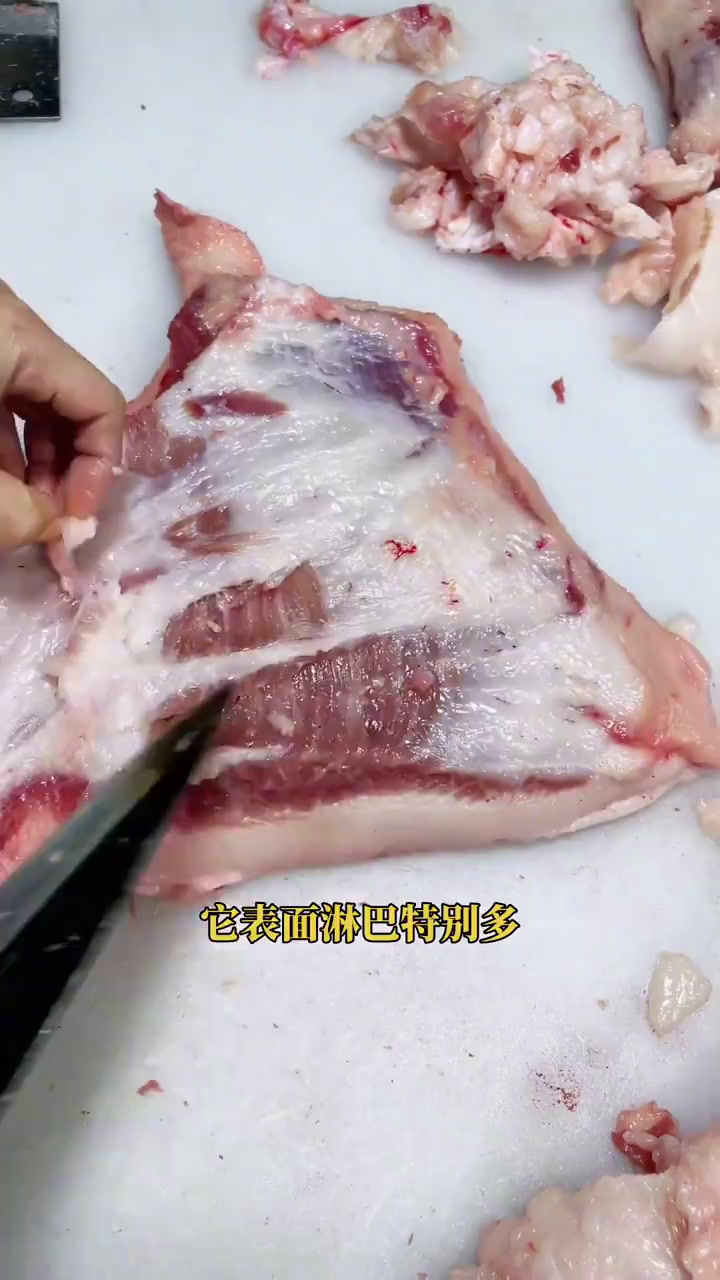 科普槽头肉,血脖肉,淋巴肉!