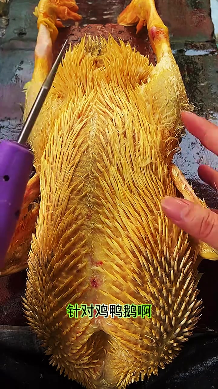 脱毛神器