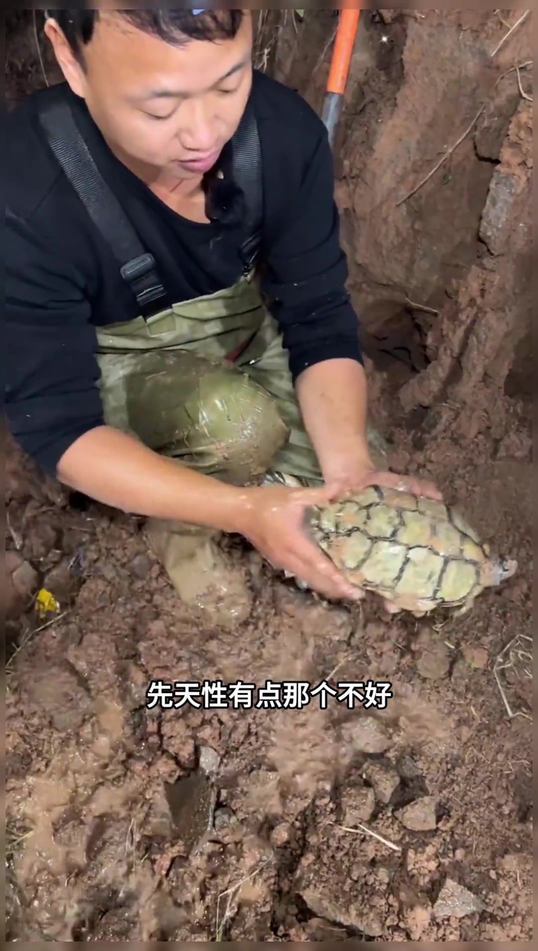 8000块包下金龟塘,寻找消失的金龟,没想到最后藏在这里!