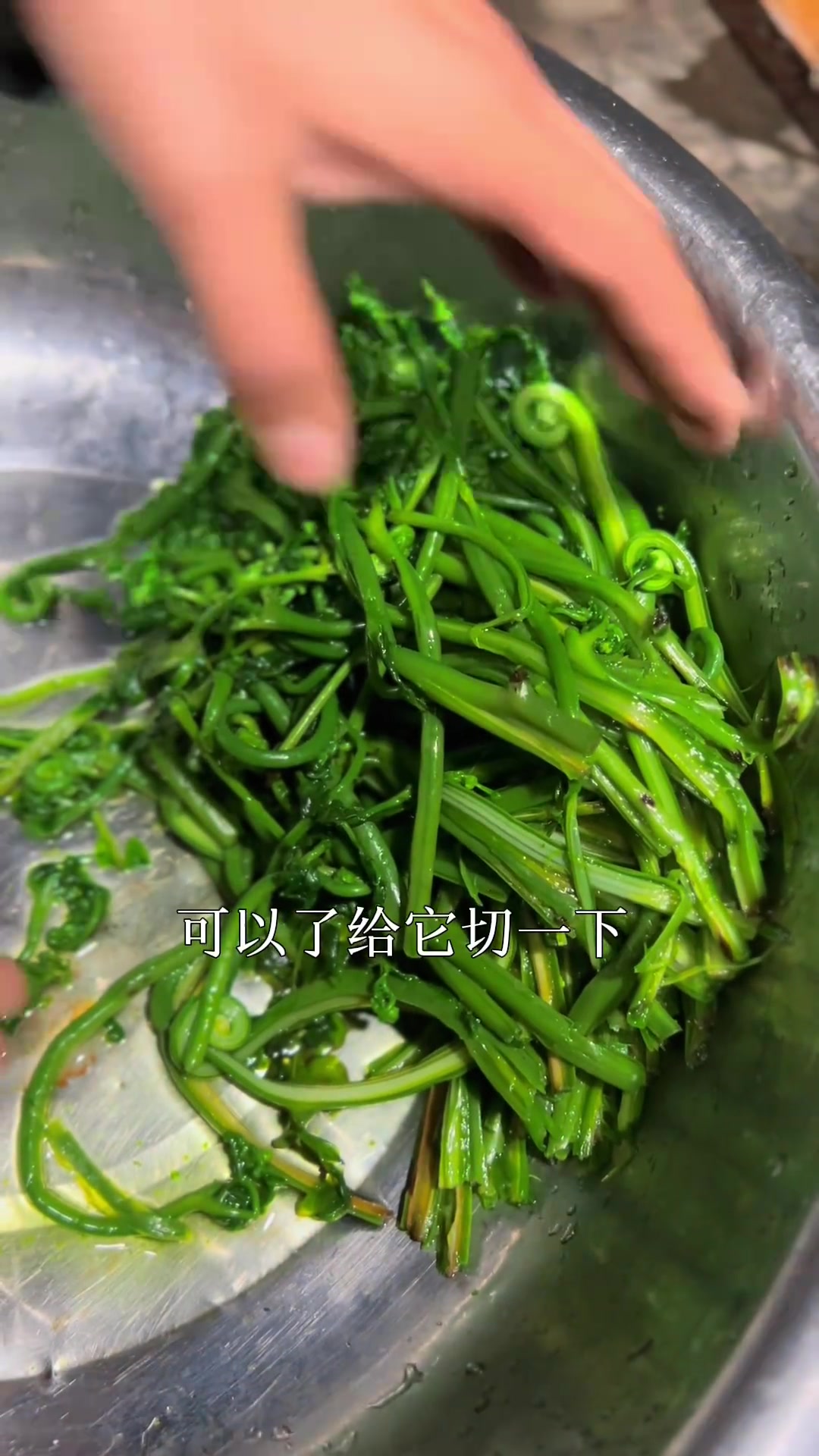 哈尼口味的苦蕨菜,很苦很香很下饭,有没有敢挑战的