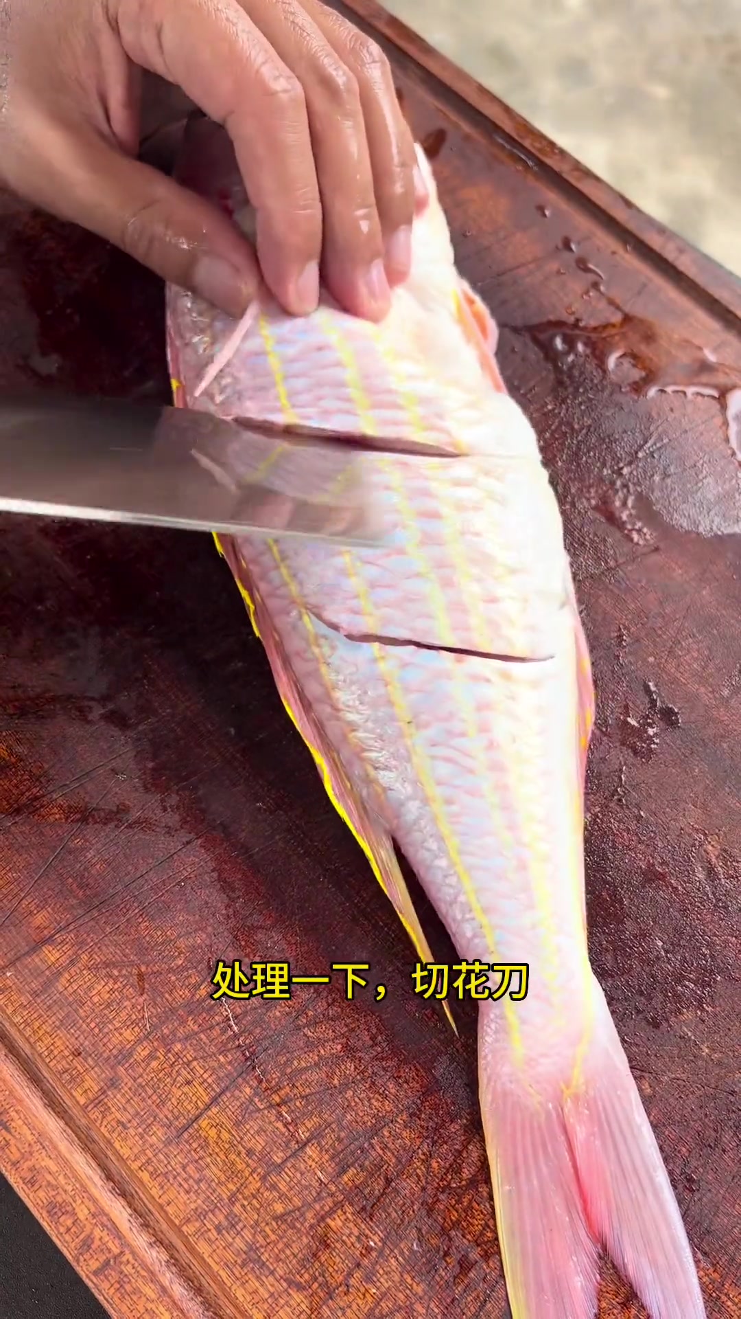 今天买一条大金线鱼