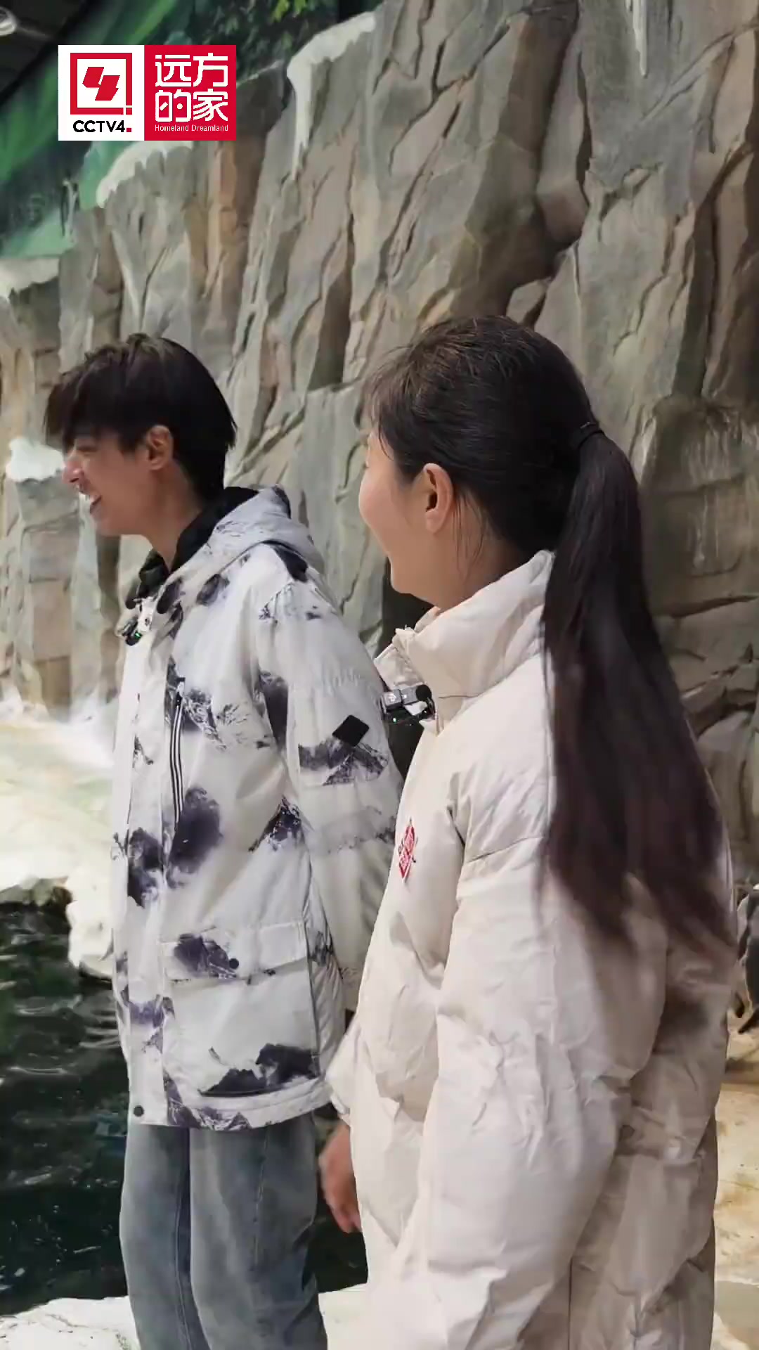 不会飞的鸟 却是游泳高手