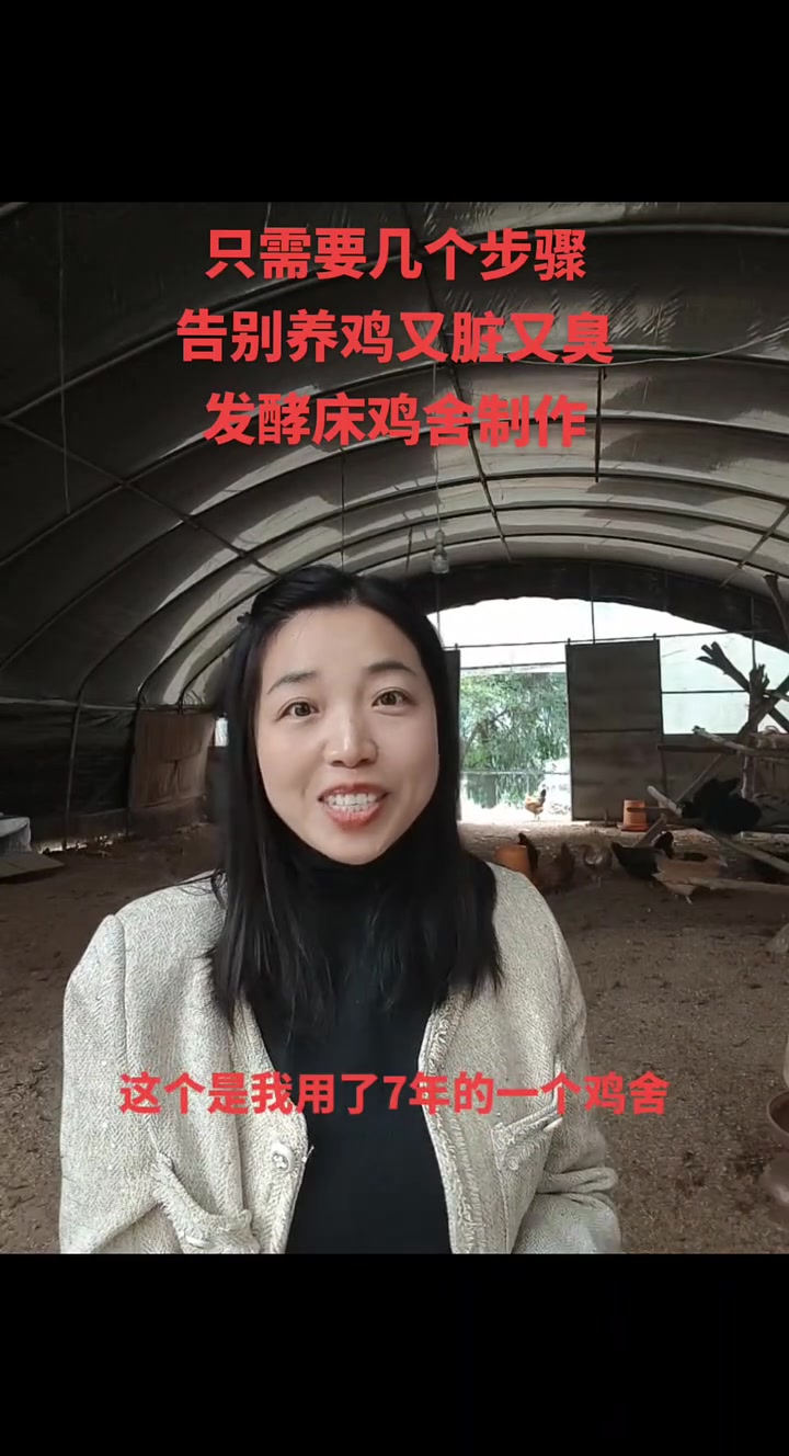 发酵鸡舍,彻底告别养鸡又脏又臭