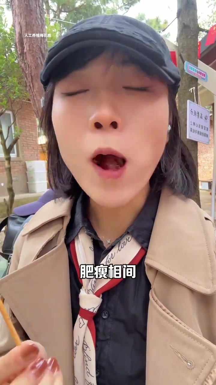 又吃出新高度!藏在“深山老林”里的梅花鹿肉 是真的香～