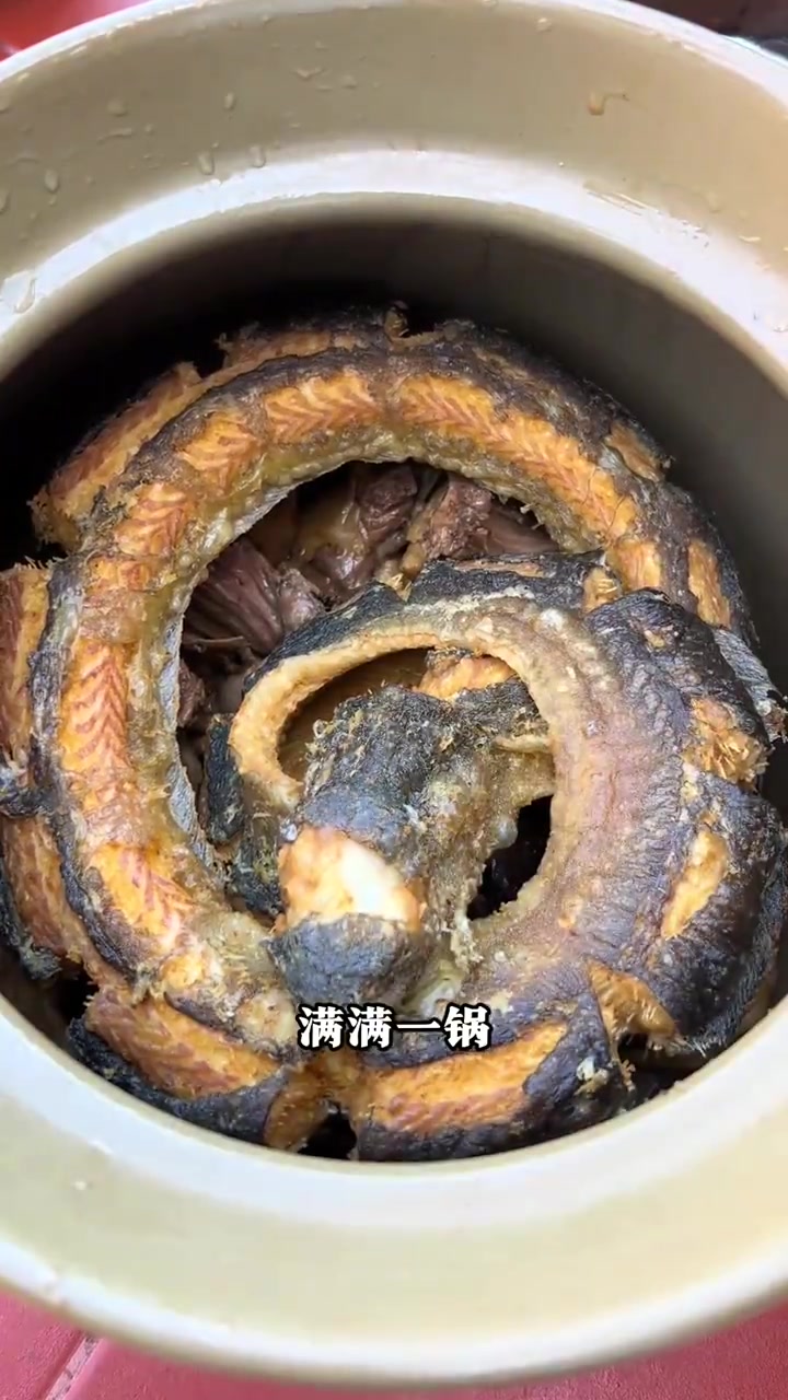 土龙番鸭汤……