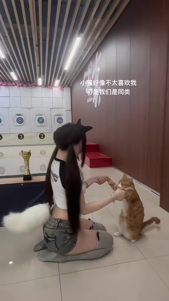 你喜欢哪只小猫～oi小猫有点火热啊被迫营业的猫猫核辐射变异动