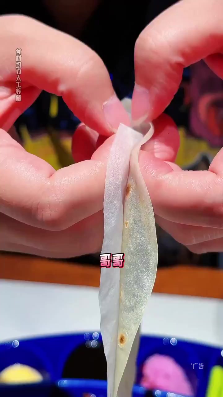 罗有财酥不腻烤鸭 以前大西郊的罗有财洛馍村你们都知道不