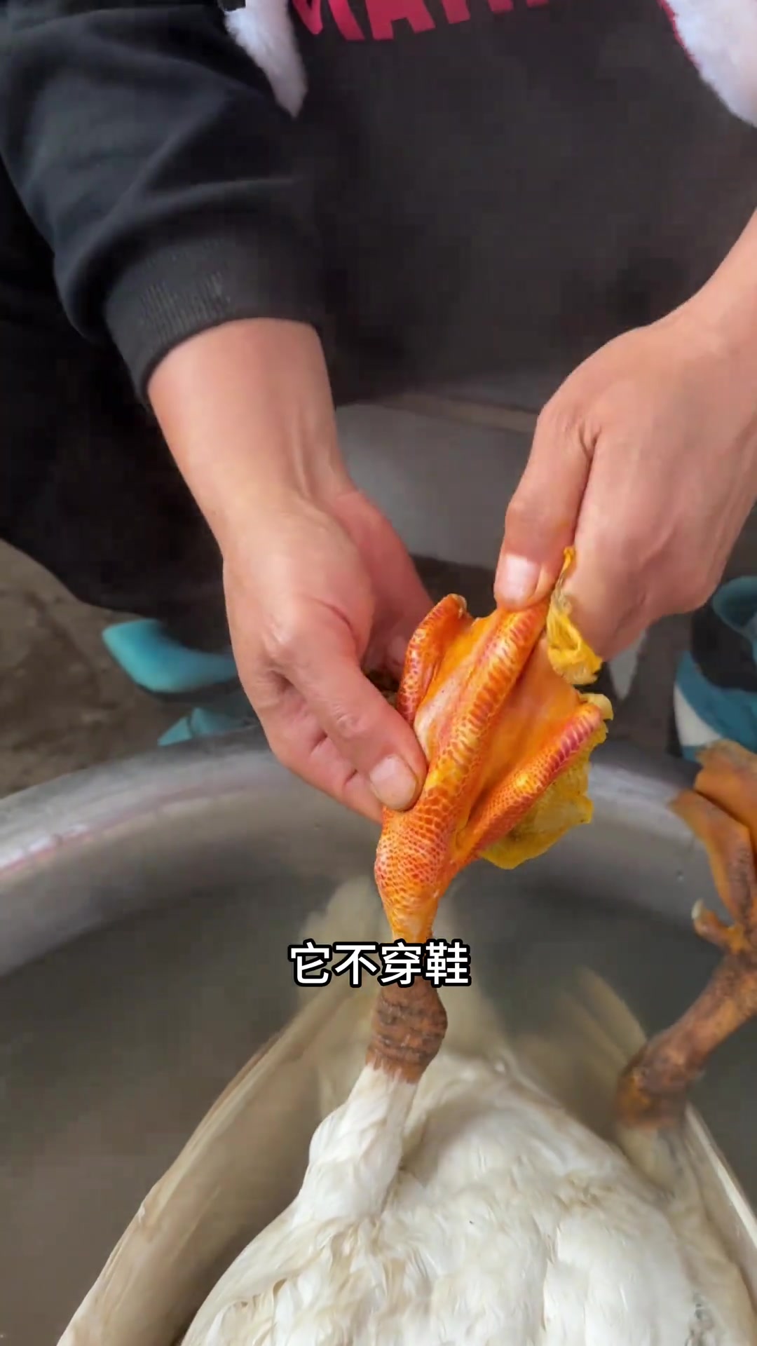 雪天和家里人一起吃大鹅!完美的一天