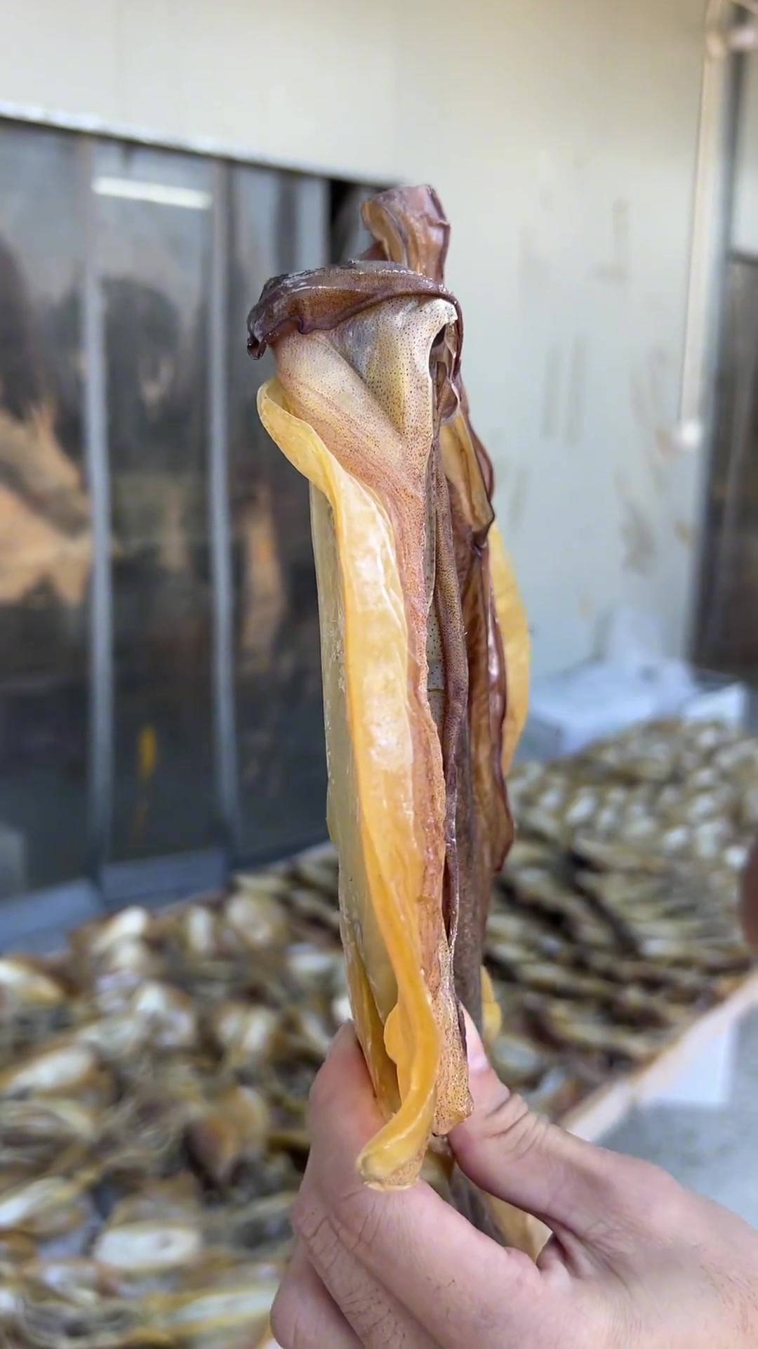 教大家怎么辨别墨鱼干的好与坏