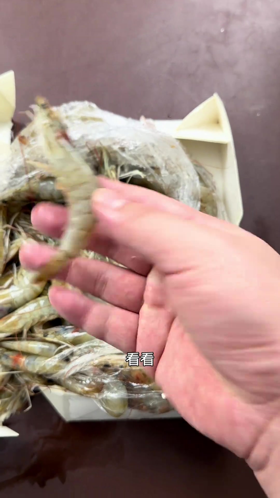 实测大老虎虾是真的吗