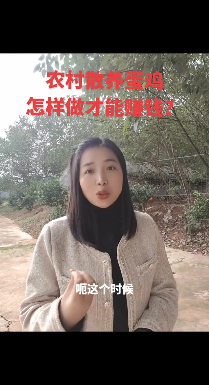 农村养鸡,如何赚钱