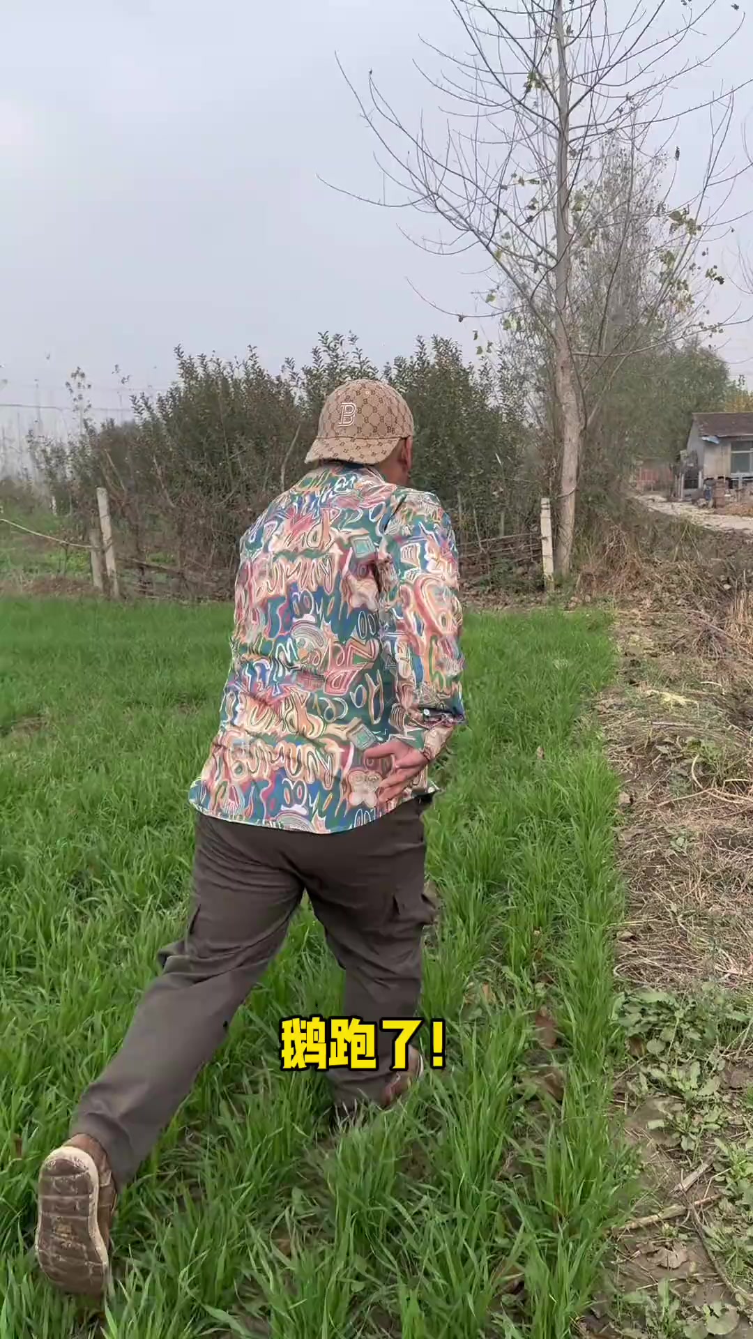 铁锅炖大鹅……干 记录真实生活 农村生活 农村美食 生活的烟火