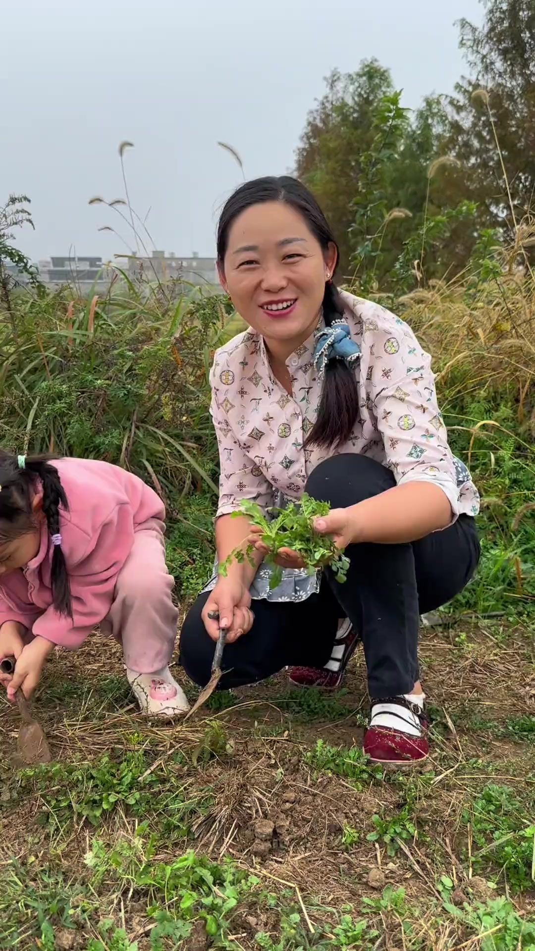 每年到荠菜成熟之时,我都会挖来包荠菜饺子,包子,今天包的咸肉