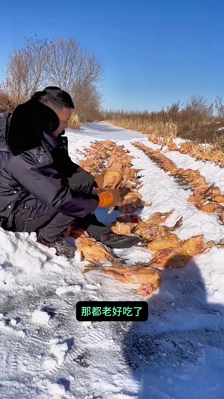 正宗散养公鸡溜达鸡活鸡现杀