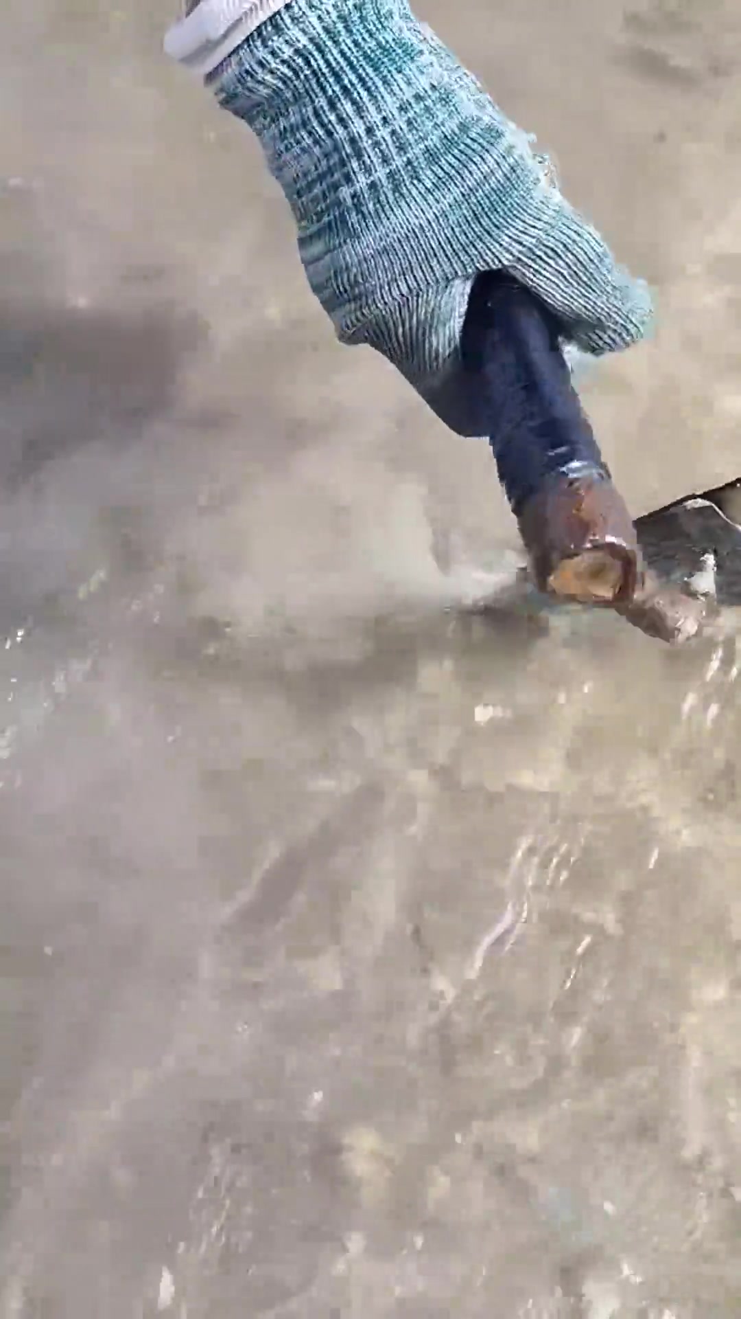 大干潮,鸡母螺密密麻麻,小渔赶海捡到手软