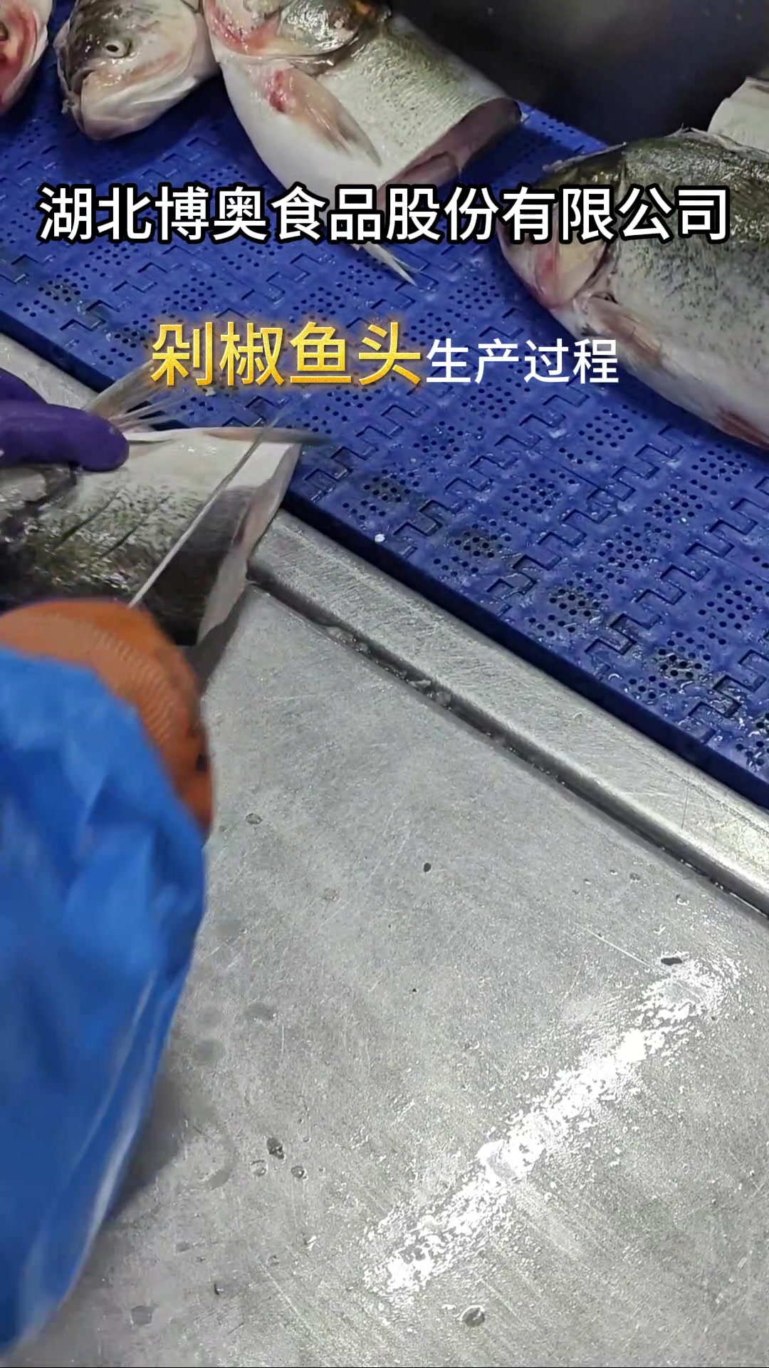 好余轩剁椒鱼头生产线实拍