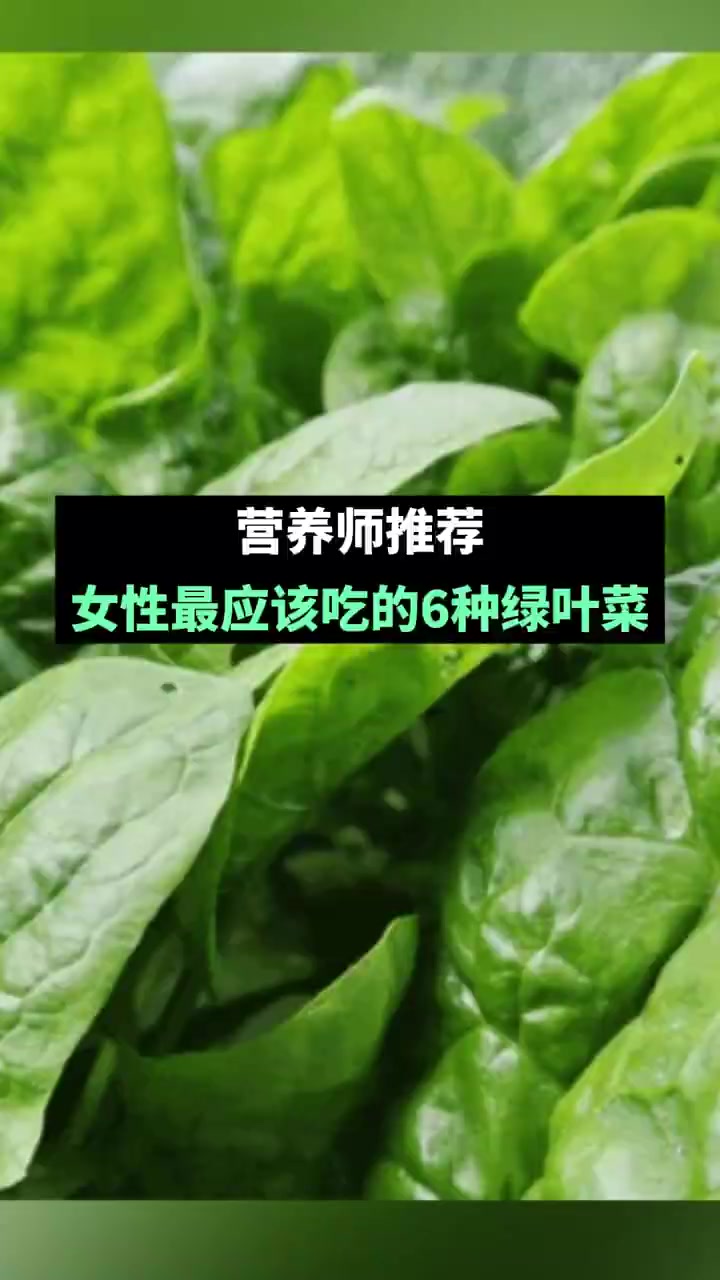 绿叶菜富含各类营养素,营养师谷传玲表示,这几点健康益处对女性格外重要:富含钙和维K,有助预
