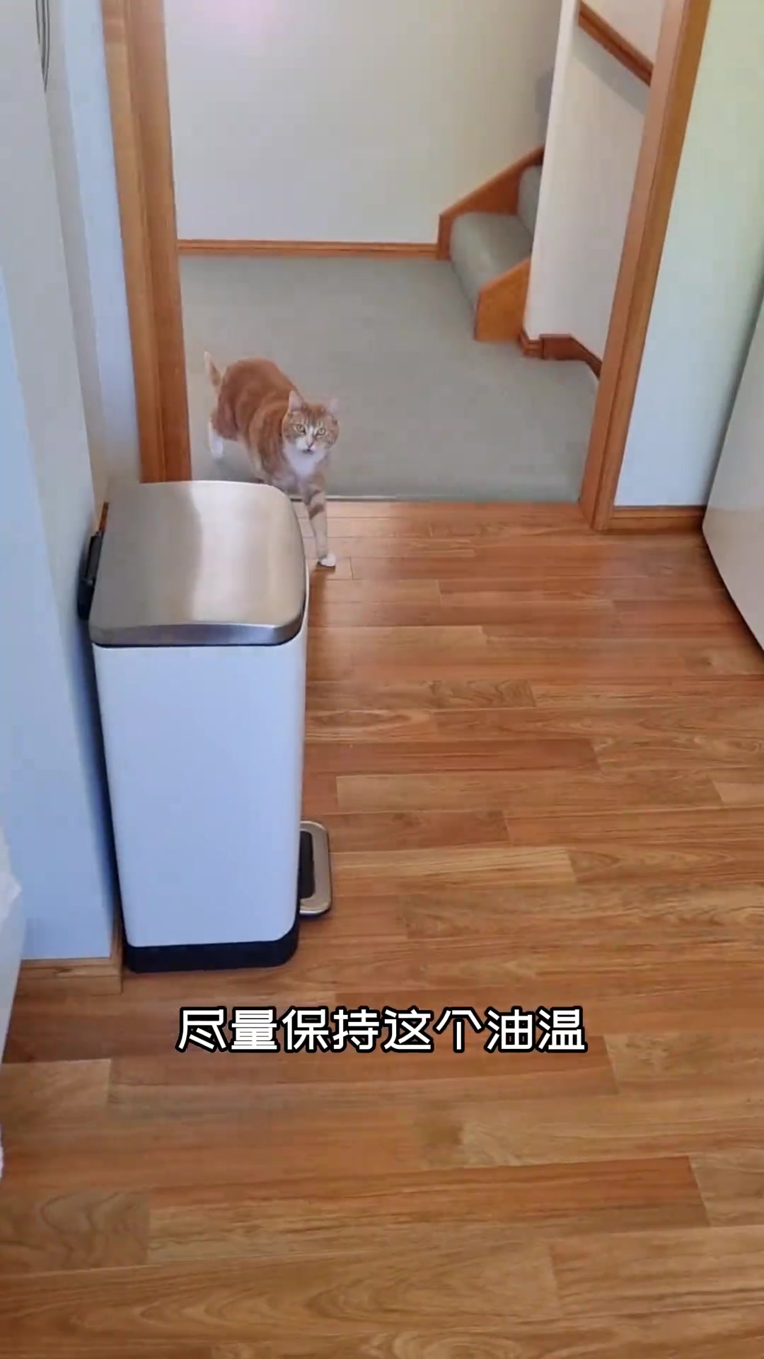 「主厨Neil」作弊版炸鱼秘笈,不裹粉,无面糊 三文鱼 炸