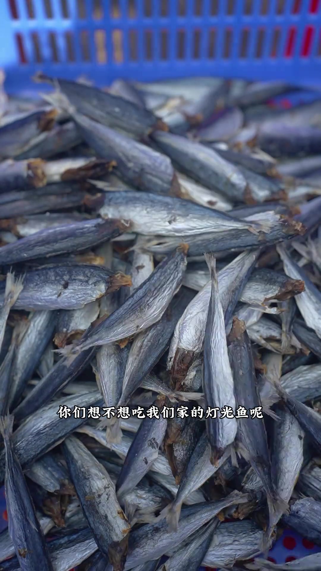 灯光鱼干终于晒好啦,想要的快来!鱼干 渔民生活实拍