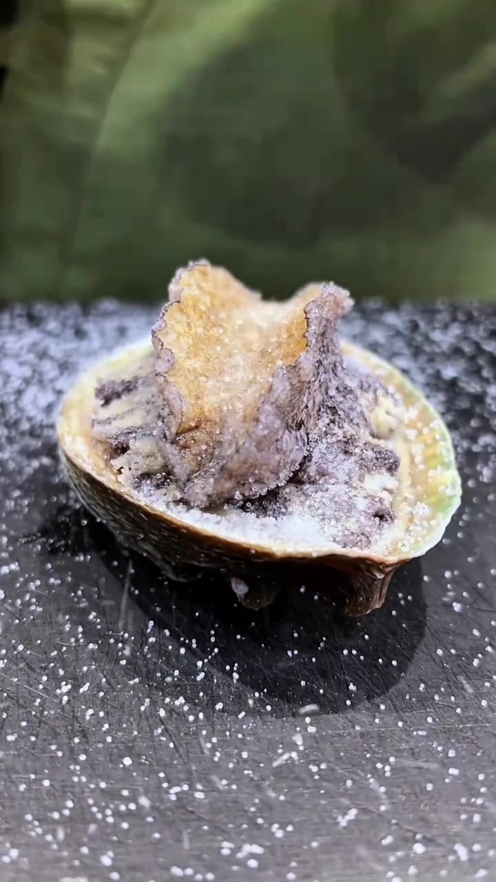 活鲍鱼盖饭这样制作,你敢吃吗?青春狂欢节 青春狂欢节话题 快