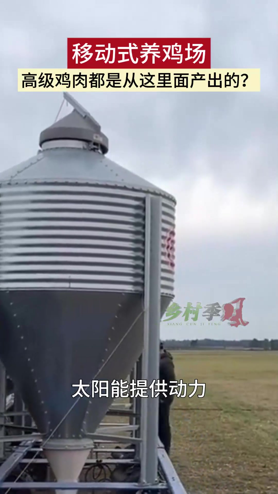 移动式养鸡场,高级鸡肉都是从这里面产出的?