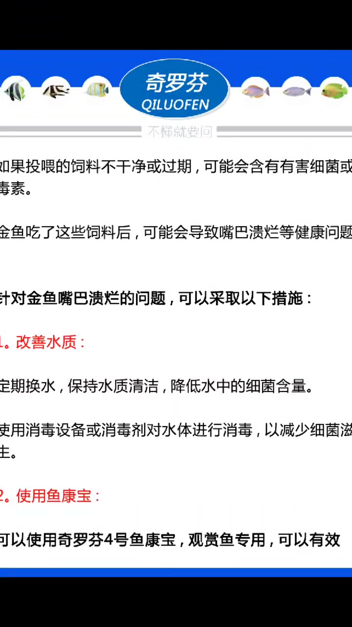 金鱼嘴巴烂了什么原因