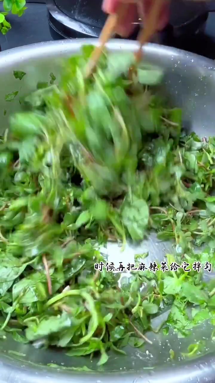 马齿菜烙菜馍给肉都不换