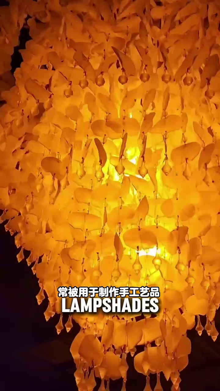 大西洋海鲢鱼的鱼鳞。快成长计划  知识百科明日之星