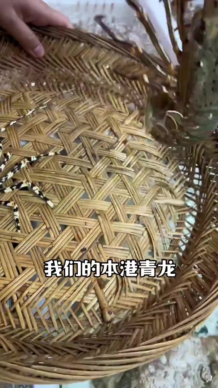 本港花龙与本港青龙 有什么特征,还有它的口感