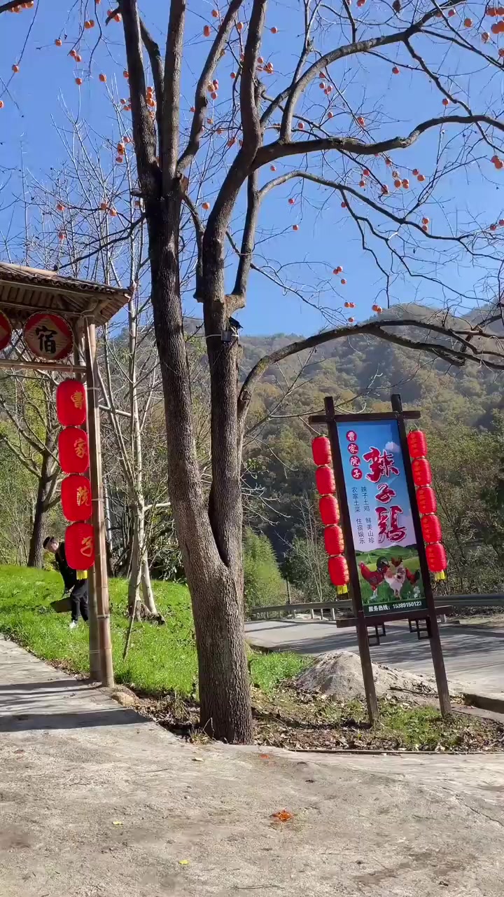 今天,我亲自下厨,制作了一道农村特色美食——洋芋粑粑炒腊肉