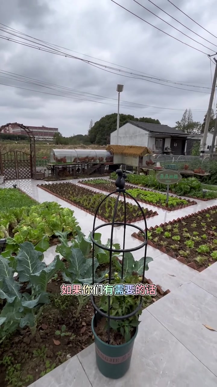 准备投产鸡窝鸡笼,敬请期待哟