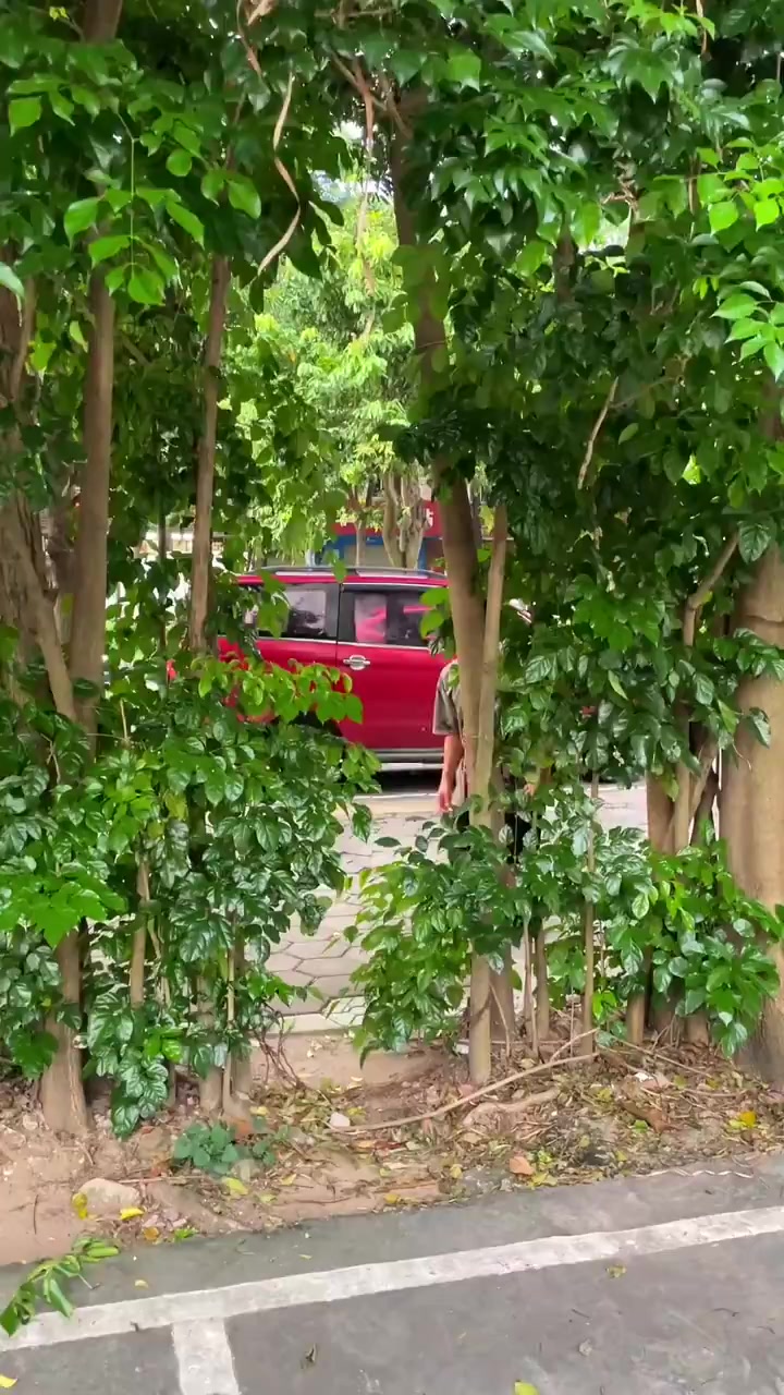 北湖公园麻桥鹅乸肉,河鱼仔,边鱼新水货