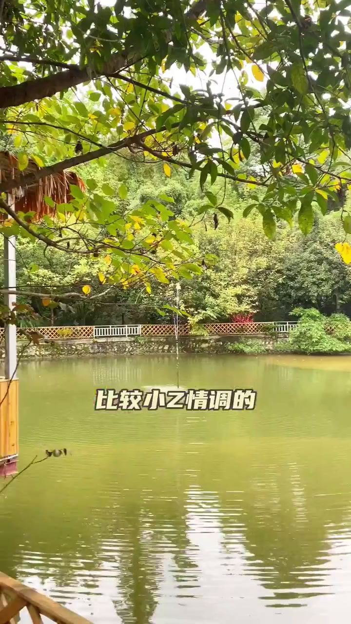 天气好,约上朋友来春游,钓鱼烤鸡烧烤和菌汤锅,舒服!