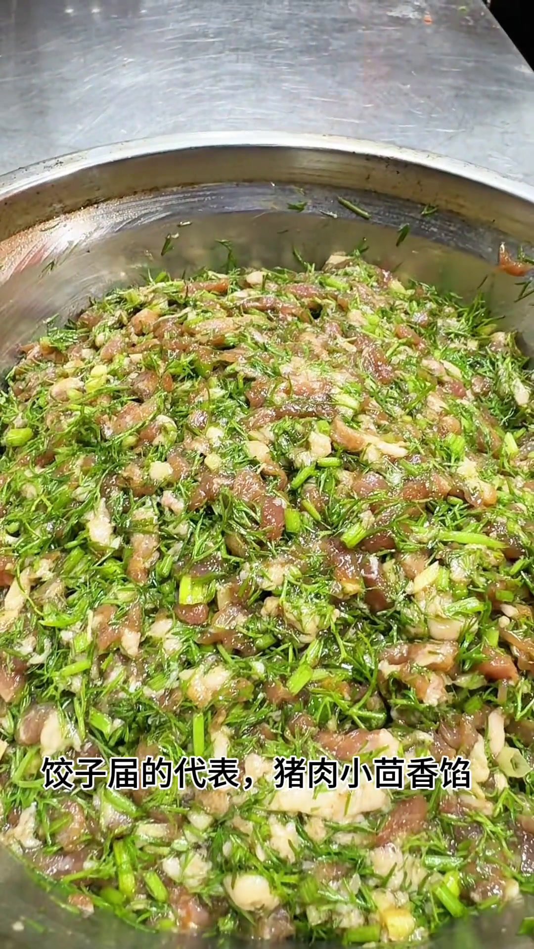 好吃不如饺子 今天吃饺子 饺子 妈呀太香了 饺子馅的代表,猪肉茴香馅,你就按我这